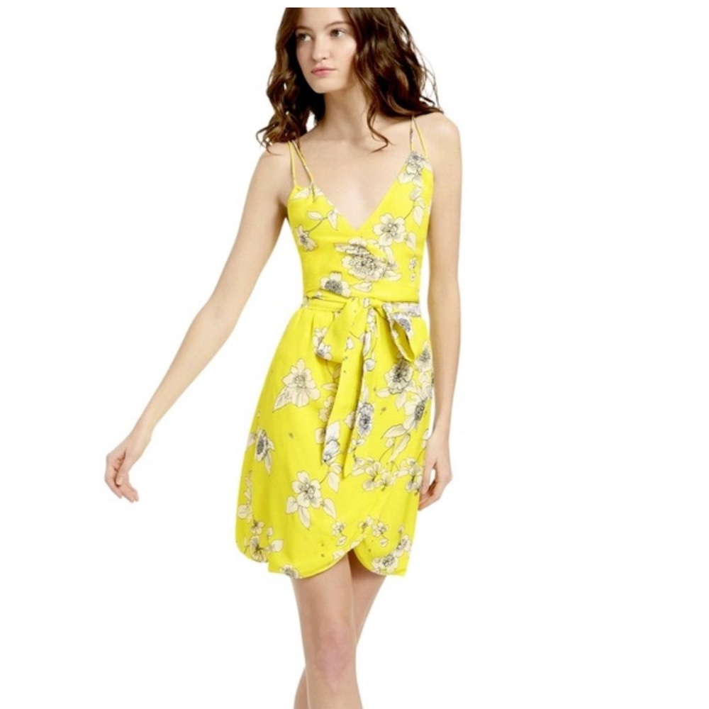 Alice and Olivia Floral Yellow Dress